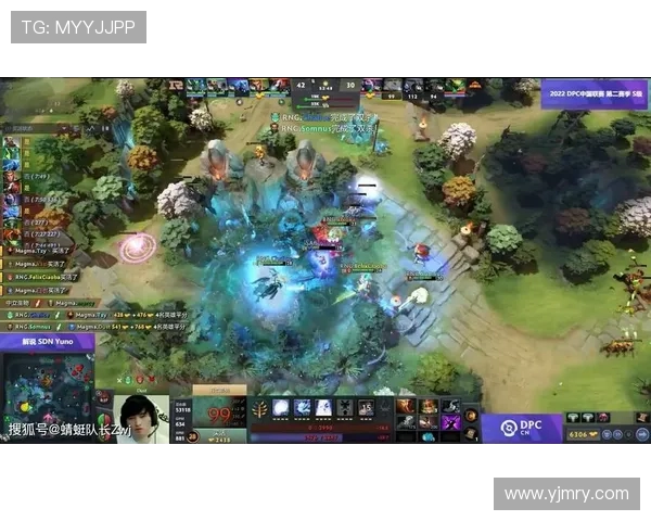 DOTA2盛宴揭秘RNG战队的耐力与团队协作之道